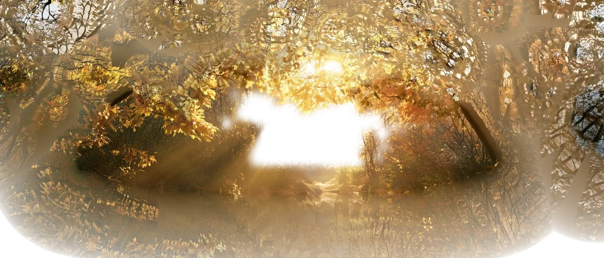 The background trees: autumn canopy across the top and sides, with a hole punched through the middle where the sunlit path runs away from the camera.