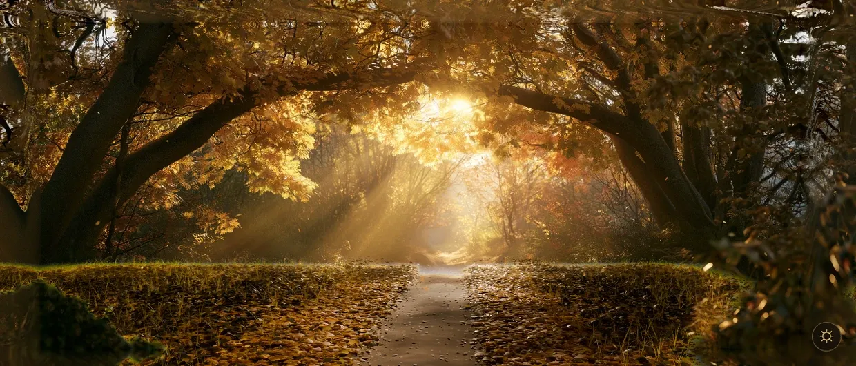 The same canopy in the running app, with the camera leaned to its limit: the near trunks have swung across the frame and the path down the middle has hardly moved.