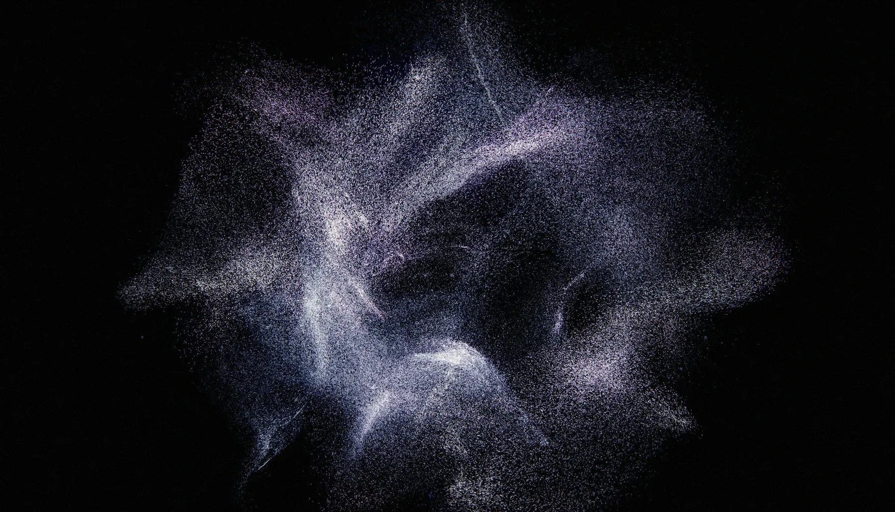 murmuration in constellation style: a dense field of tight silver points spread across the frame, more starfield than cloud.